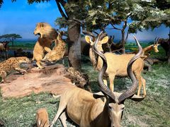 -国家自然博物馆