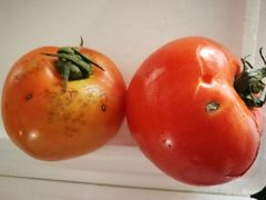 香酥咸蹄髈-桦立酒家(宜山路店)