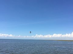 -青海湖仙女湾景区