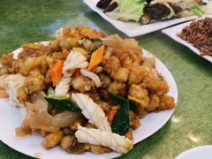 鸿运八珍豆腐-桃子餐厅·天津菜(红星路直营店)