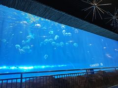 -华夏文旅西安度假区