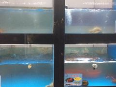 -至尊鲨鱼·原烹海鲜·新浙菜(拱宸桥店)