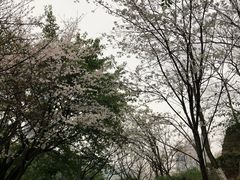 -百林公园-两江幸福广场