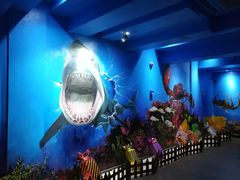 -船奇蒸汽海鲜·闽菜(八市海鲜总店)