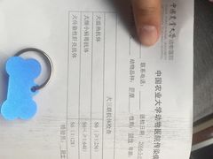 -北京观赏动物医院·24小时大型综合·猫专科·异宠专科