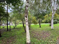 -哈尔滨北方森林动物园