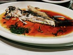 -箸福·夜上海(月牙湖公园店)