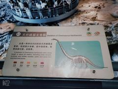 -自贡恐龙博物馆