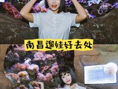 -南昌海洋公园