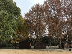 -共青国家森林公园-售票处