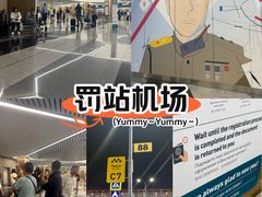 -谢列梅捷沃国际机场