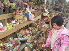 -三圣花乡旅游区