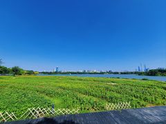 -海珠湖公园
