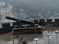 -白帝城·瞿塘峡景区
