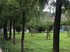 -吉林大学(南岭校区)
