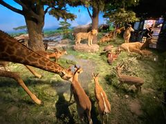 -国家自然博物馆