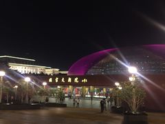 门面-国家大剧院