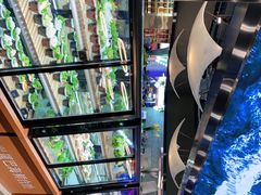 -圣罗巴海鲜自助(黑金店)