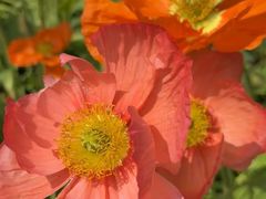 -名花谷生态庄园