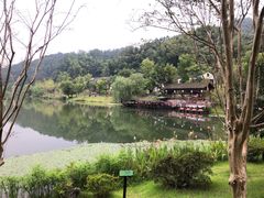 -常德桃花源景区