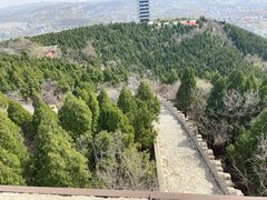 -原山国家森林公园