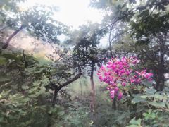 -北京上方山国家森林公园