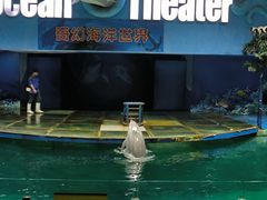 -苏州海洋馆