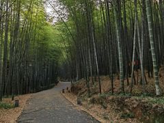 -苏州环秀晓筑养生度假村