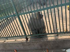 -秦皇岛野生动物园