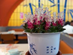-全牛匠·乐山跷脚牛肉(西北旺万象汇店)