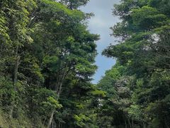 -梧桐山风景名胜区