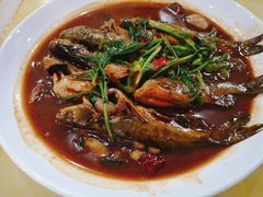 红烧昂刺鱼-杨辉饭店