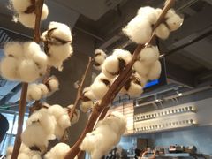 -喜茶(中山白水井店)