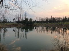 -瑶湖郊野森林公园