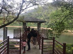 -广州市石门国家森林公园