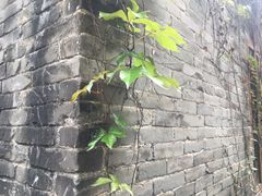 -小洲村