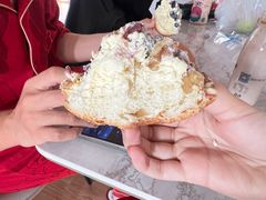 -葡萄树蛋糕(友好店)