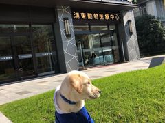 -爱妮康宠物医院·干细胞免疫细胞·肿瘤·心脏(张江店)