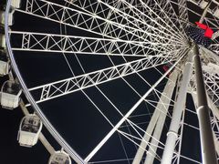 -布里斯班南岸公园