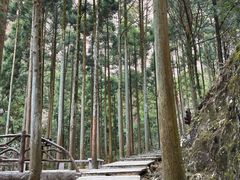 -雁荡山大龙湫景区