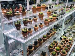 -KKV(深圳宏发大仟里店)