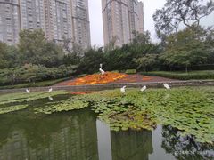 -中山公园