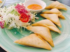 印度咖喱饺-莫多多餐厅