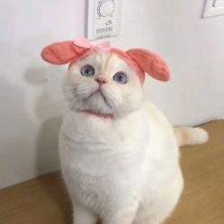 -如一·美甲美睫