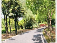 -宝界山林公园