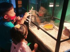 -石家庄海洋公园