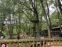 -WeLope紫金山探险公园