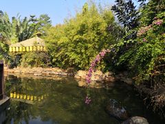 -清远熹乐谷温泉度假酒店