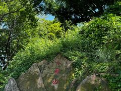-青岛海滨风景区小鱼山