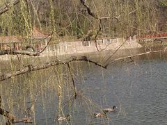 -北岭山森林公园
